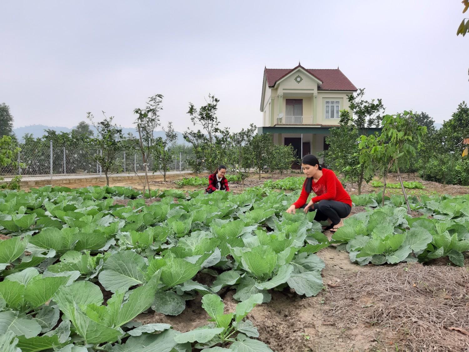 Tĩu nặng quả